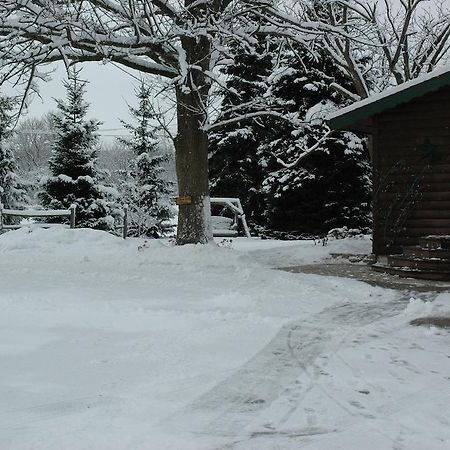 Bed and Breakfast Lazy Cloud Williams Bay Exterior foto